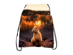 Сумка-мешок для обуви год Кролика №14