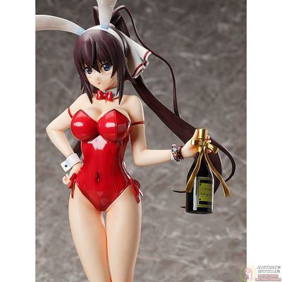 Фигурка 1/4 Хоки Синононо (Houki Shinonono Bare Leg Bunny Ver.)