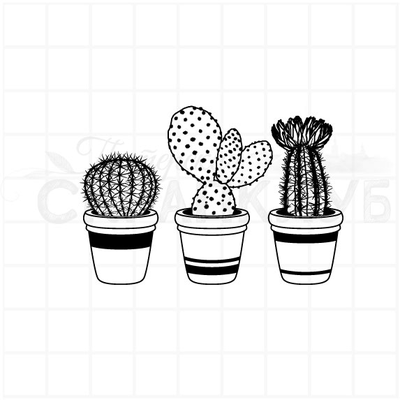 ФП штамп "Кактусы 1"