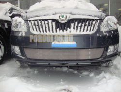 Защита радиатора Skoda Fabia 2 рестайлинг 2011-/Skoda Roomster 2011-2015 chrome