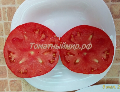 Томат Мегамутт (Megamutt , США)