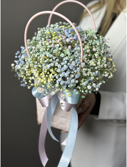 Сумочка  с гипсофилой