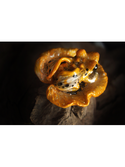 Брошь-лягушка &quot;Крылатая Лучезарница&quot;, коллекционная миниатюра