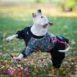 Комбинезон для больших собак Бута мультиколор