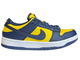 Nike Air Force 1 SB Dunk Low Michigan