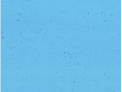 SMU4222 Unite LX Hausys