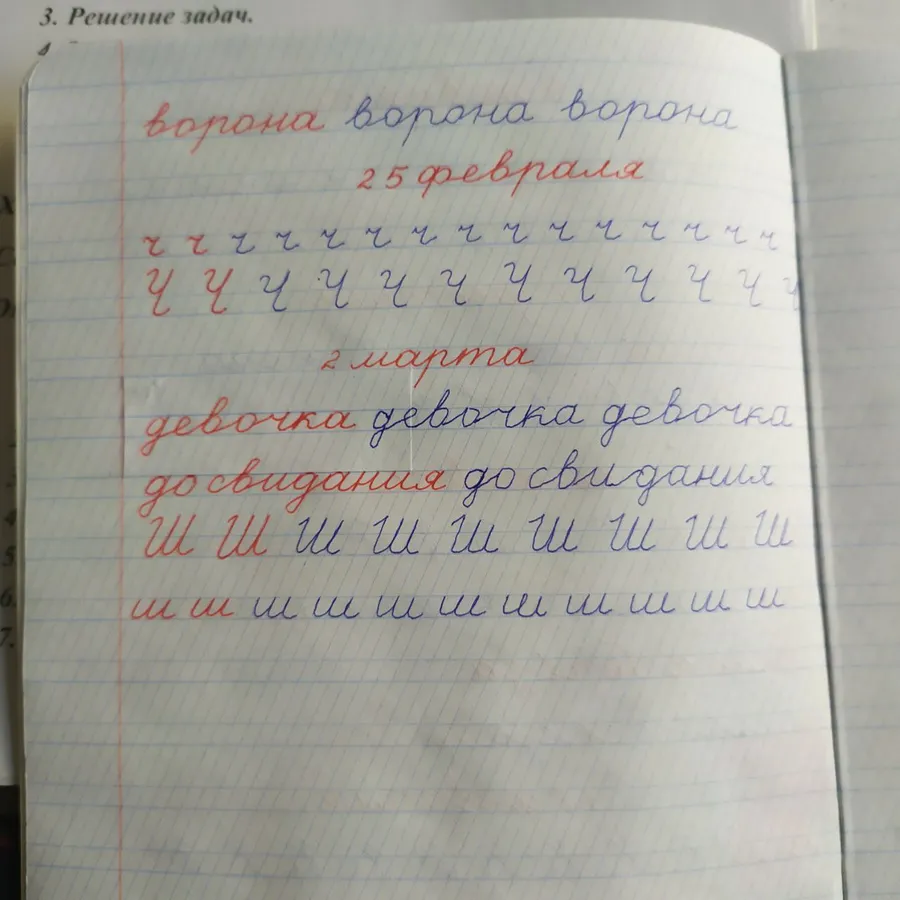 Наши успехи