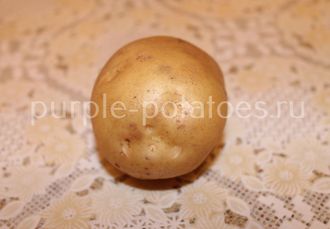 Сорт картофеля Фреско