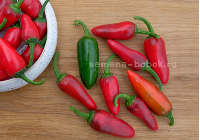 Перец острый Jalapeno Craig's Grande (Халапеньо Крейг Гранд), 10 шт