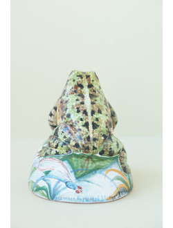 Лягушка на камушке