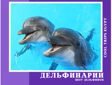 ДЕЛЬФИНАРИЙ В ХУРГАДЕ - ШОУ ПРОГРАММА