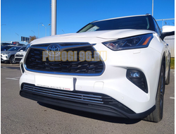 Решетка передняя d16 для Toyota Highlander 2021-