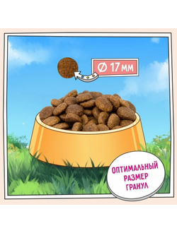 ZILLII Adult Dog Sensitive Digestion, Корм сухой для собак с чувствительным пищеварением, гипоаллергенный, Индейка 0.8 кг