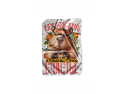 Покрывало Капибара, Kapibara-san №13