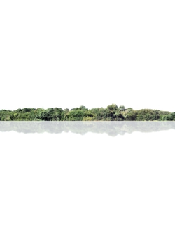 горизонт Деревья на горизонте ALT019-03-D