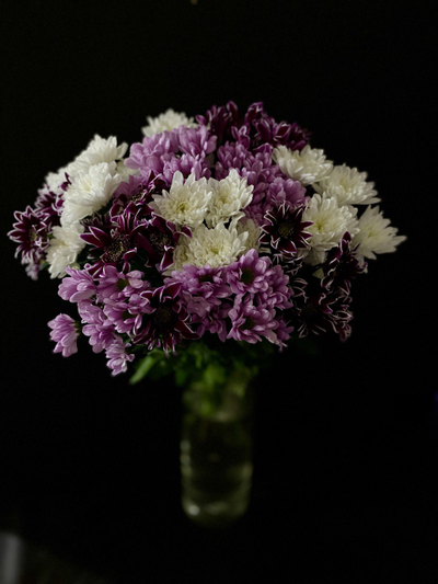 Хризантема кустовая микс 15 шт