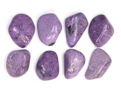 Стихтит галтовка в ассортименте, Алтай (20-25 мм, 3-4 г) №22667