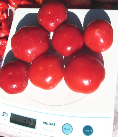 Перец острый Алма паприка (Яблочный перец, Alma Paprika)