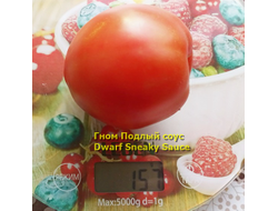 Томат Гном Подлый соус Dwarf Sneaky Sauce)