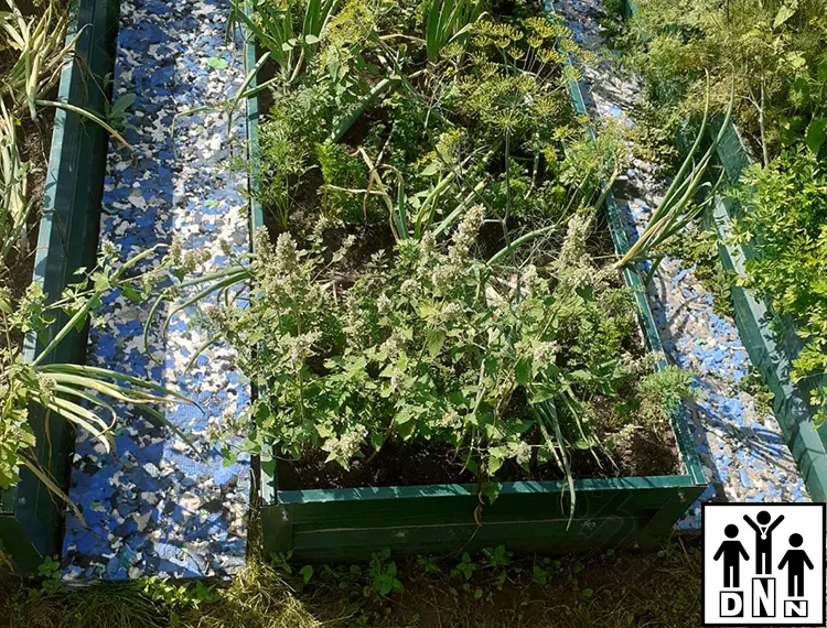 Дорожки для грядок между грядка