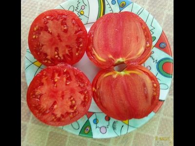 Томат Бычье сердце туймазинское