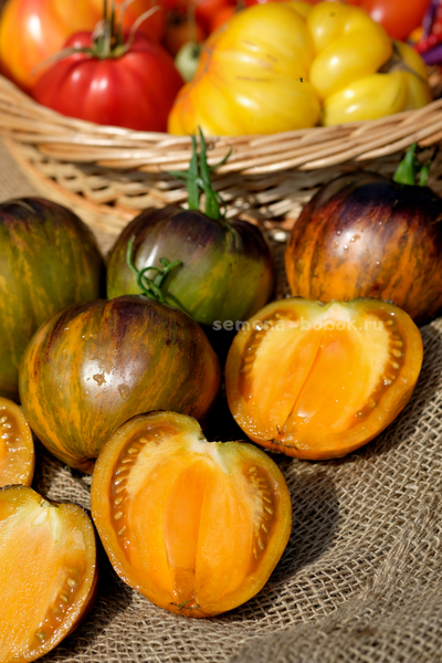 Томат Охровая Вуаль