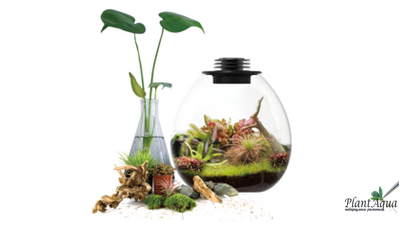 Биобутылка Biolark LED PD 170 (175мм х 195мм)