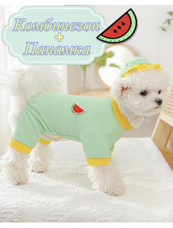 Комбинезон с панамкой Арбуз