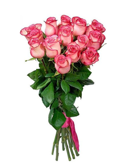 Букет из 15 розовых голландских роз 100 см