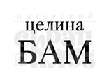 ФП штамп &quot;БАМ&quot;