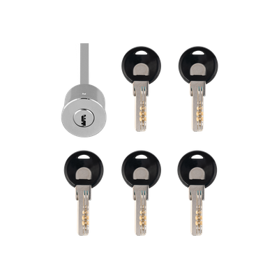 DL11 - накладной электромеханический замок (-45° ~ +50°С)