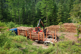 Вырубка леса под cтроительство
