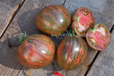 Томат Rebel Starfighter Blaine's Moonlight (Восставший Звездный Истребитель Лунный Свет Блэйна) , 10 шт