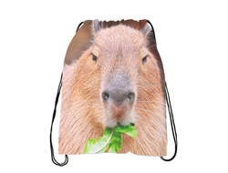 Сумка-мешок для обуви Капибара, Kapibara-san №16