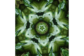 Мандала №4 из серии "Лесные звёзды. Волшебная пыльца" из коллекции сакральных рисунков на основе волшебных украшений Legenda Vincento.