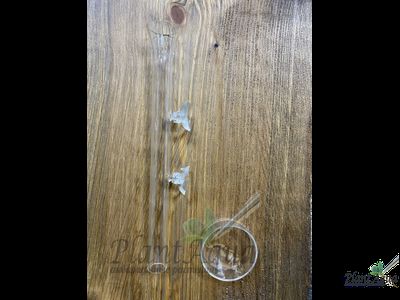 SwetAqua Glass bottom feeder 250 - стеклянная кормушка с трубкой для донных рыб