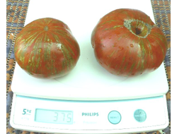 Томат Ирландский полосатый  (Irish Stripes)