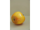 Румяное яблоко (жёлтое)