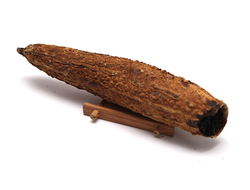 Лот 1012, Габа в горькой тыкве, 70 гр