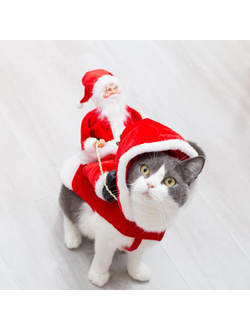 Костюм для собак Санта в упряжке