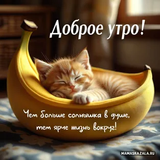 Открытка доброе утро с котёнком в банане