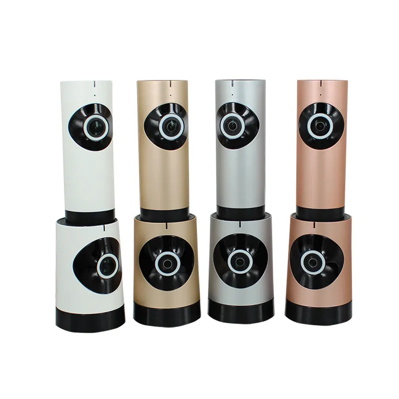 панорамная WiFI видеокамера с сервисом P2P DE-Wfish/Wfish_mini