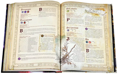 Fateforge: Летописи Эаны. Книга 2. Гримуар