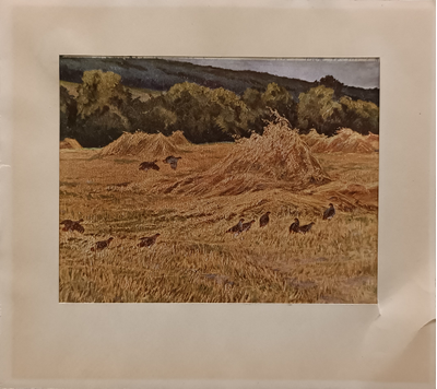 "Кабаны в зимнем лесу" фототипия 1920-е годы