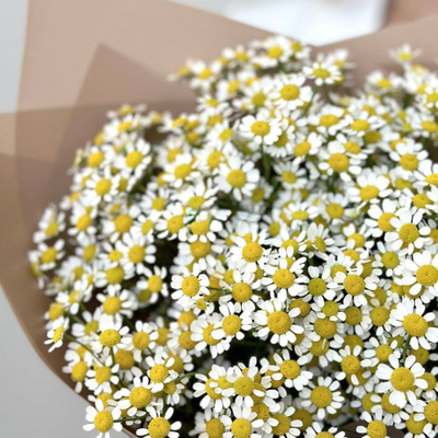 Букет из 9 кустовых ромашек