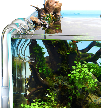 Набор Lily Pipe Duck NANO 13 мм - вход и выход из стекла для наноаквариумов