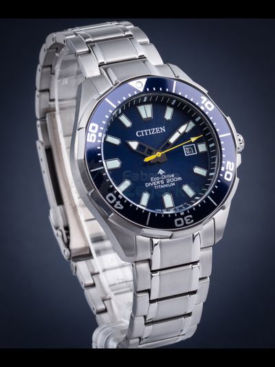 Наручные часы Citizen BN0201-88L