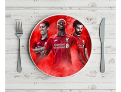 Тарелка Ливерпуль, Liverpool FC №7
