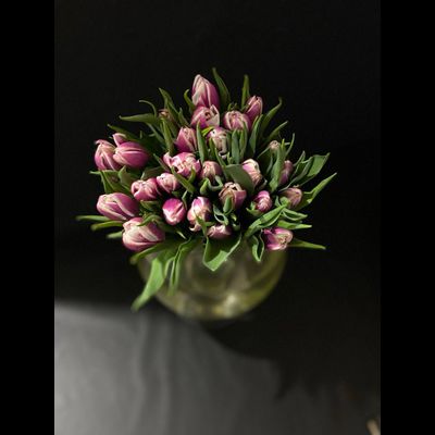 Тюльпаны пионовидные 25 шт