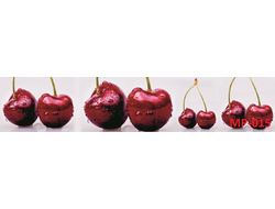 MP-015 ЧЕРЕШНЯ Глянцевая стеновая панель ALBICO  2800*610*6мм. *